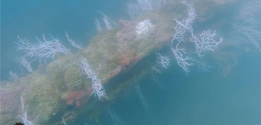 Scientists - The Lost City of Atlantis Has Finally Been Found
