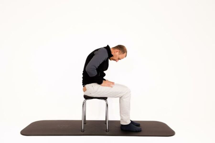 Spine Flexion and Extension 1