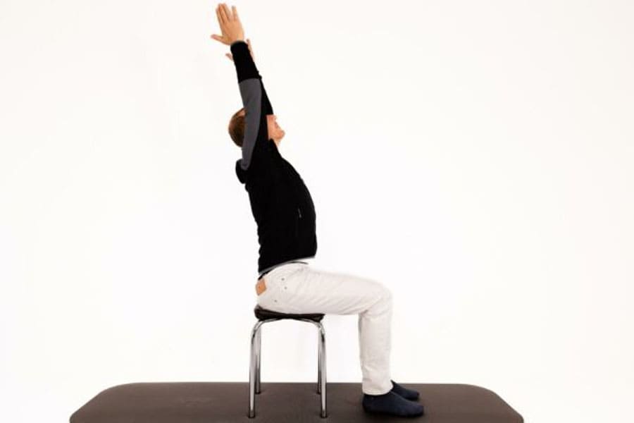 Spine Flexion and Extension 2