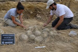 Dinosaur Eggs in France: Stunning Scientific Discovery